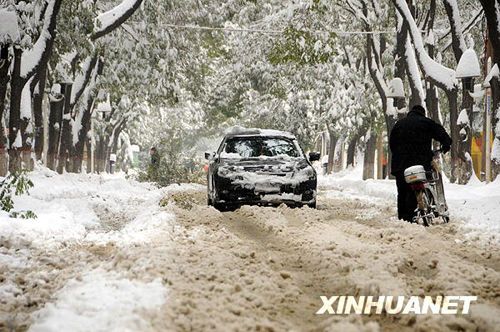 11��11�գ���܇��ʯ���f���^�D�y��񂡣