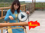 ������y(t��ng)��衶�^(gu��)���L(f��ng)����