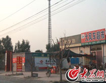 С�W�ώ��_С�u�� �ɏ��ƌW�����M���I���Pվ