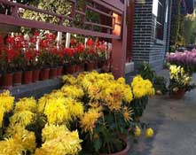 �W���哌�ջ�����ٛ������ ���y�����m����