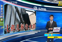 �m���Qδ��������o���ƈ̷���