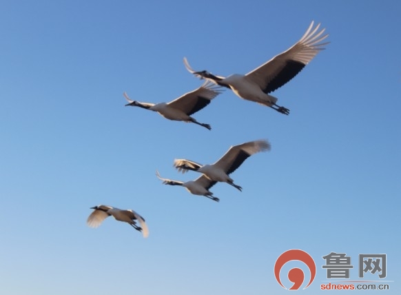 �c(di��n)���鿴��һ�(y��)