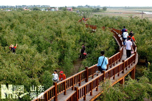 �c���鿴��һ�