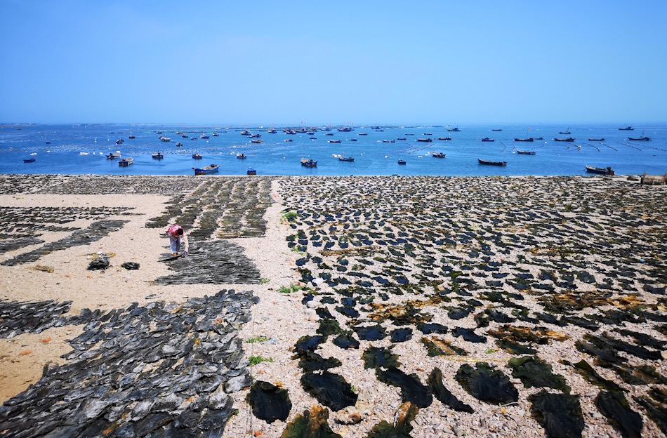 QQ�DƬ20190718160130.jpg