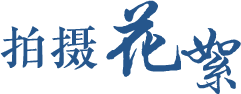 ���ʻ���