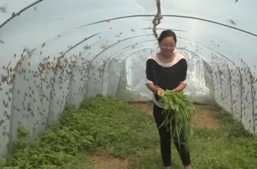 90���l(xi��ng)�����d�����T�������ڄڡ��ơ����¸�·