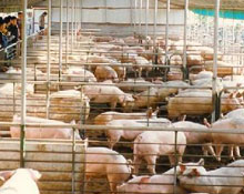 ���i�r(ji��)������ÿ�i̝332Ԫ ��(zhu��n)�ҿ�˥ȫ������