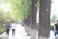 ������������ɻ���������һ��ɽɫ��Ǻ����Q���ɬF���@�������o�������񎧁��Ŀɲ���ʲô��������������ɽɫ�����ǔ����M��������