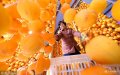 2018��10��23�գ�ɽ�|ʡ�Ͳ��У���ɽ��Ұ�����Ӽt�ˣ��r(n��ng)�񂃼Ӿo��ժ���ӡ��ӹ�����t����ի@�������n�˽��