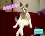 QQ�؈D20130621165157.jpg