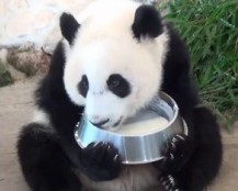 QQ�؈D20131028094305.jpg