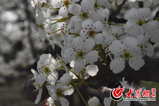 ��ſh��28���滨��(hu��)�y��������(ji��)����4��7���_Ļ