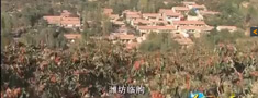 meilishandong.jpg