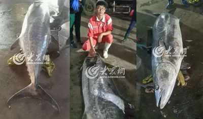 QQ�؈D20150908173504.jpg