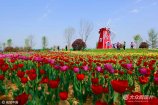 2017��4��19�գ�ɽ�|ʡ�T���ОH�ӱ�������20���@�־��^���������������̼t������_�������涷�G�������˱�������ǰ���p��������