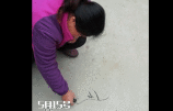 GIF1.gif