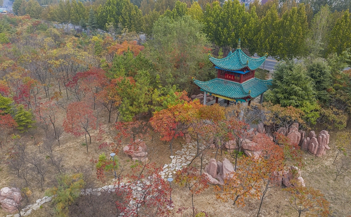 VCG111256224689_����.jpg