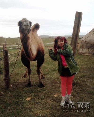 �����ڡ�����Ӣ�ۡ��Ĕz�F(xi��n)����